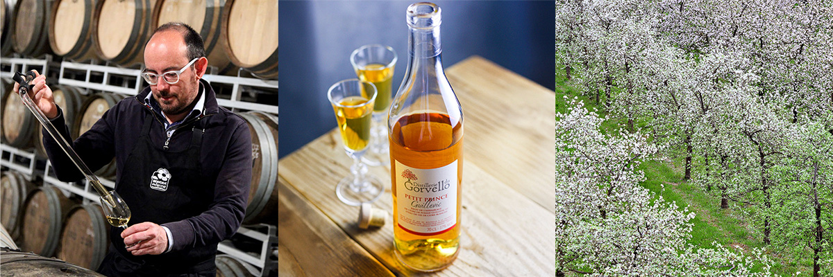 【プティ プランス ギルヴィック 入荷のお知らせ】