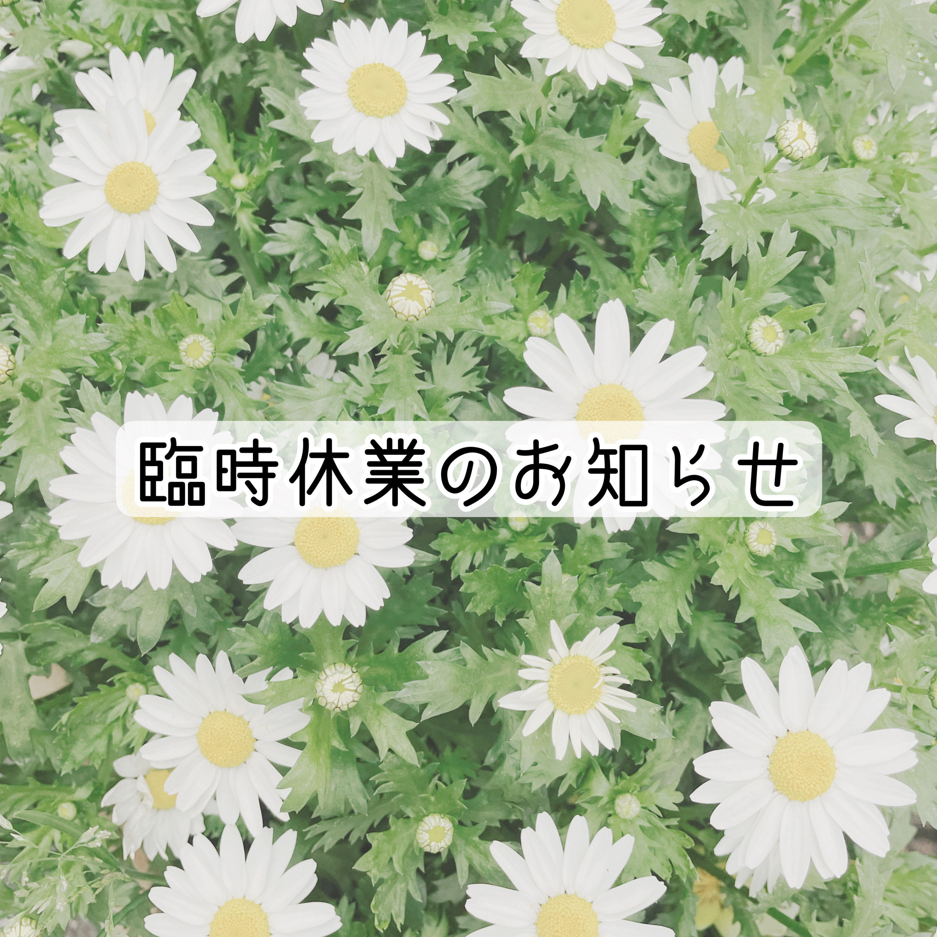 ▲臨時休業のお知らせ▲