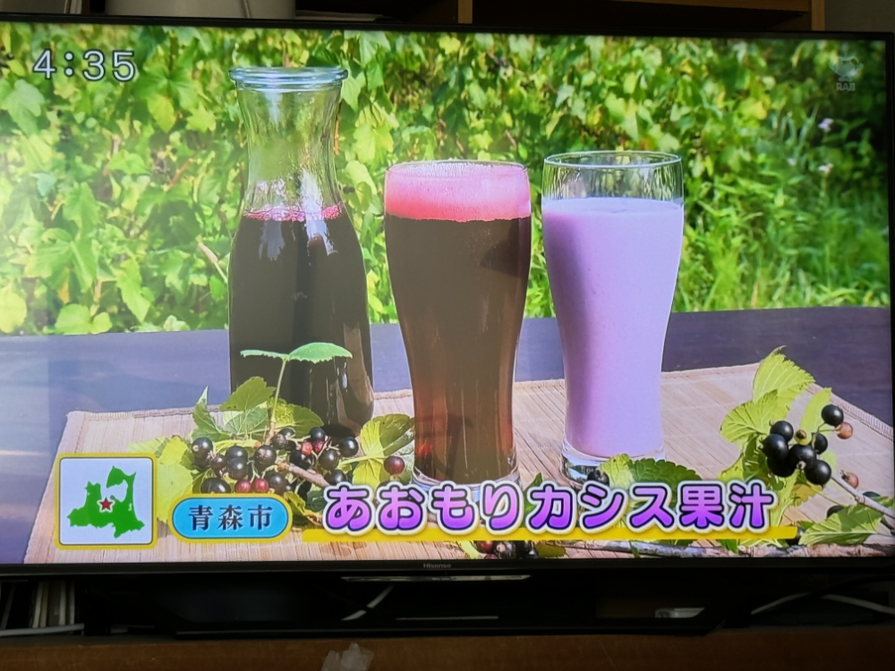 地元放送局RABの取材を受けました（2024/7）