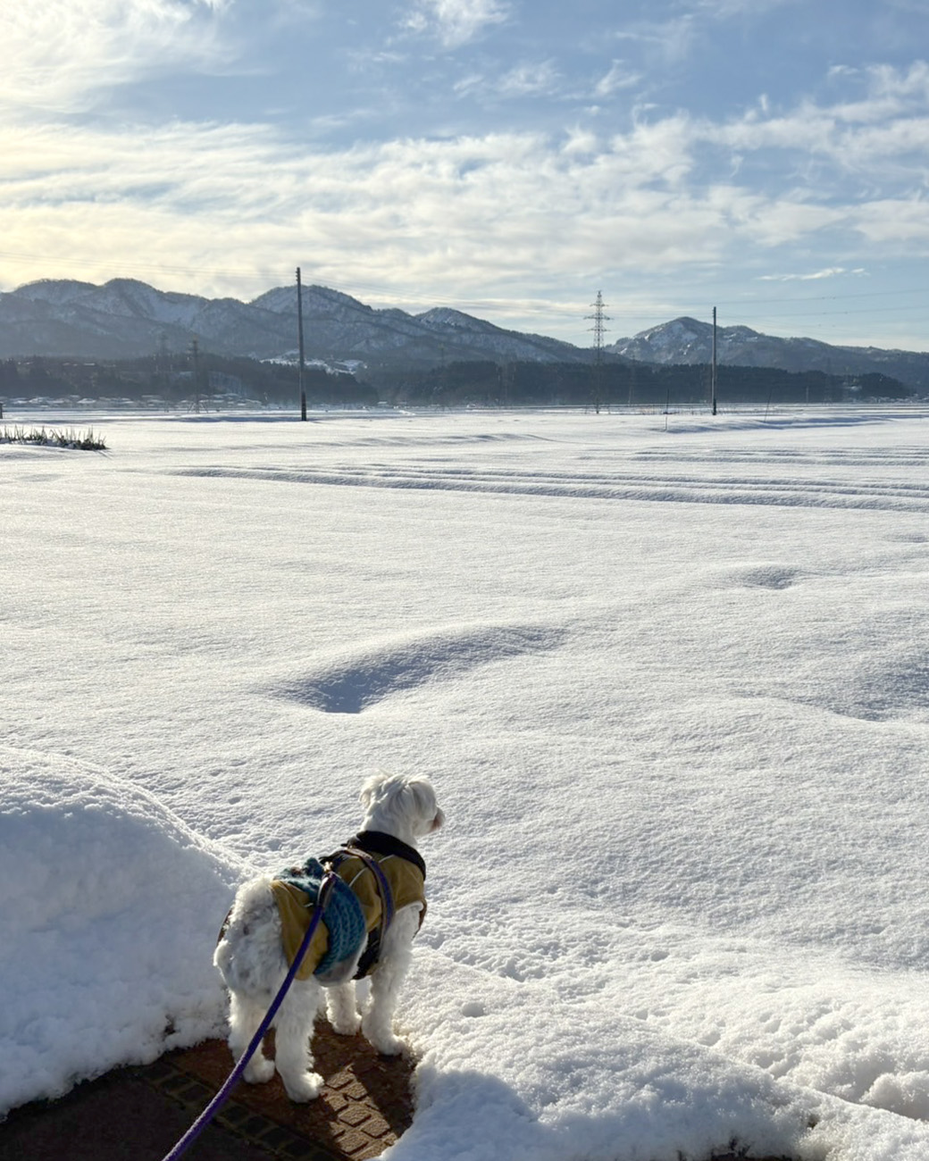 2月イベントはじまるよーー！