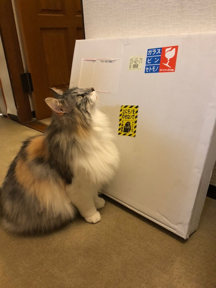 お客様からのお写真が届きました♪