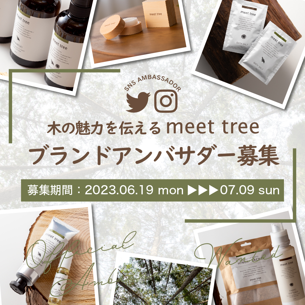 木の魅力を伝えるmeet tree ブランドアンバサダー募集のお知らせ