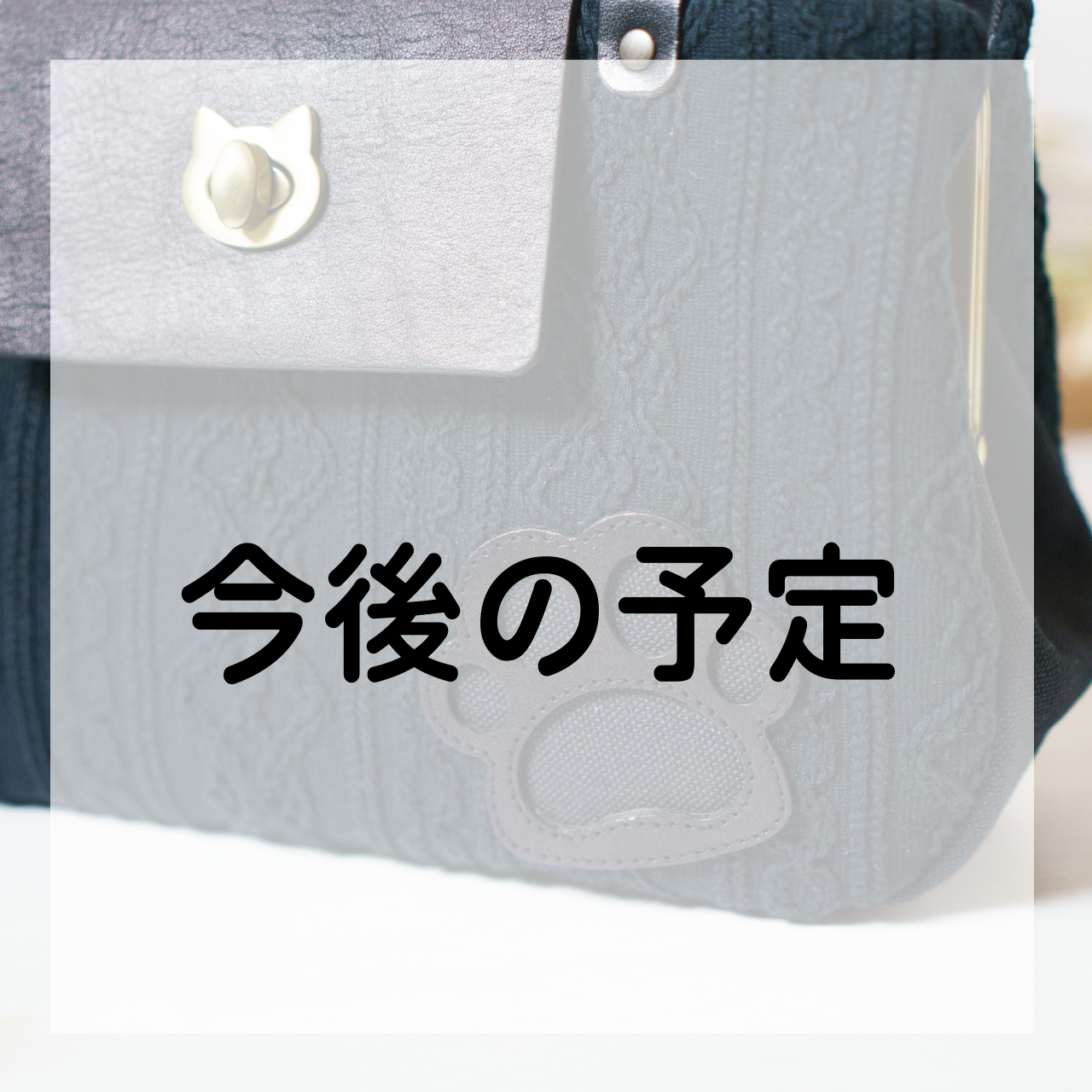 今後の予定とお知らせ（8月）
