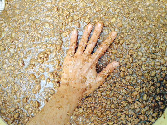 3月発送日のお知らせ