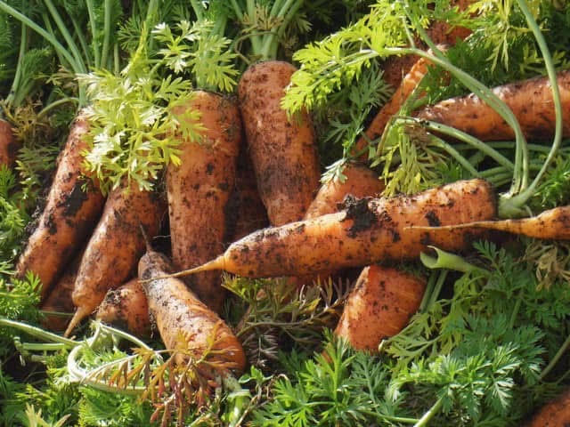 2月発送日のお知らせ