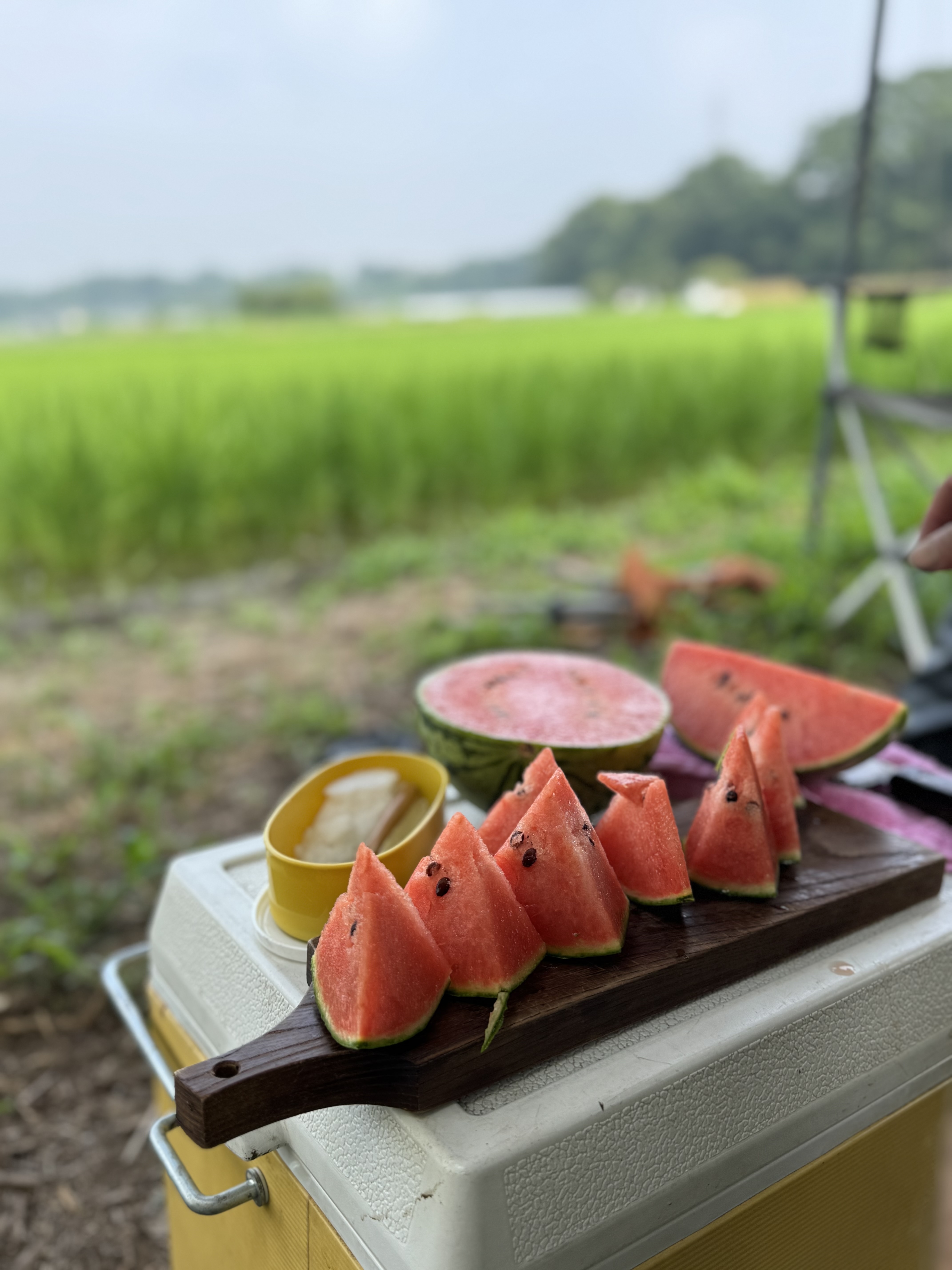 8月発送日のお知らせ