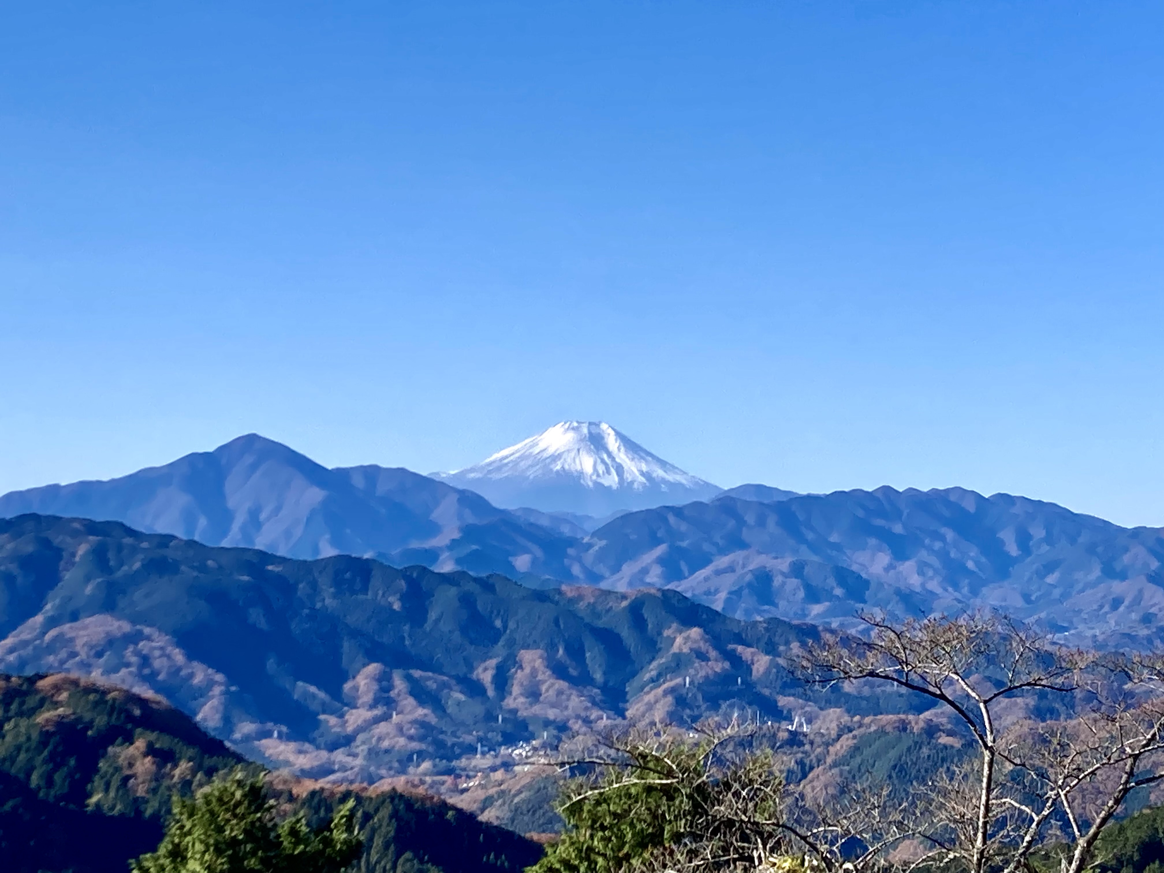 12月の発送日のお知らせ