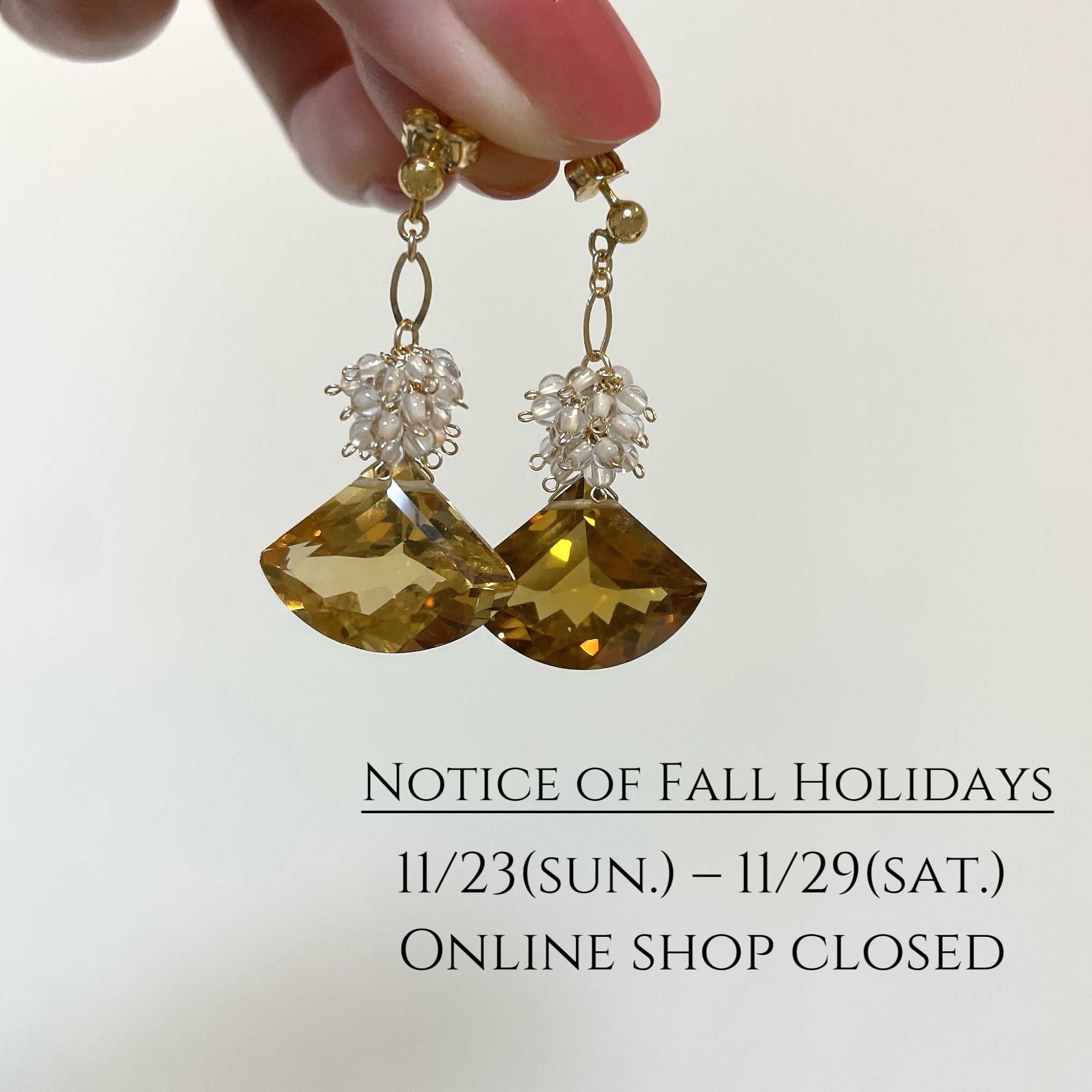 11月長期休業のお知らせ(11/23-29)