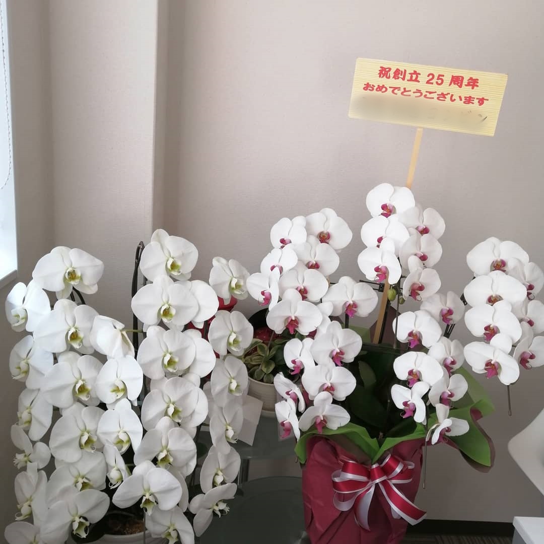 【創業25周年】