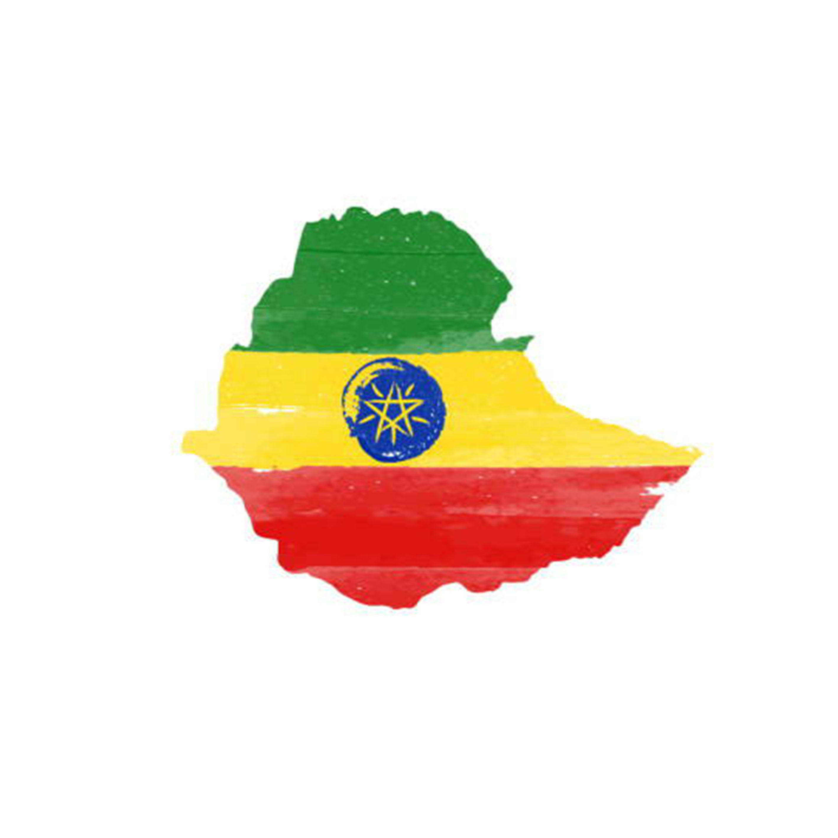 エチオピア、ウォッシュト精製のニュークロップ販売開始しました！