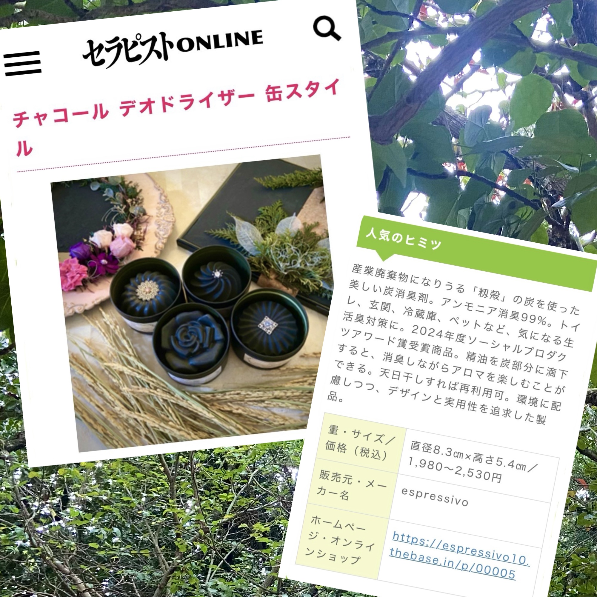 ベストセラーとして掲載