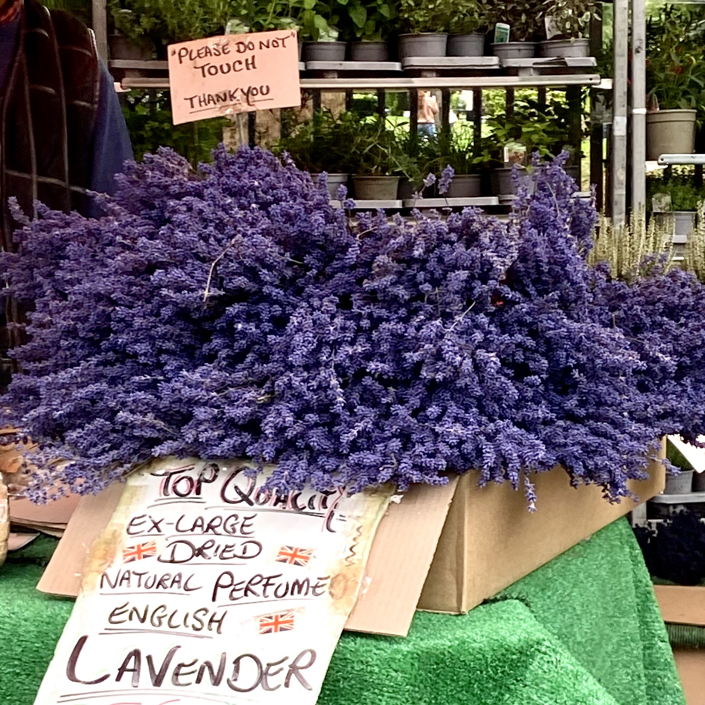 海外レポート2025 ロンドン編②