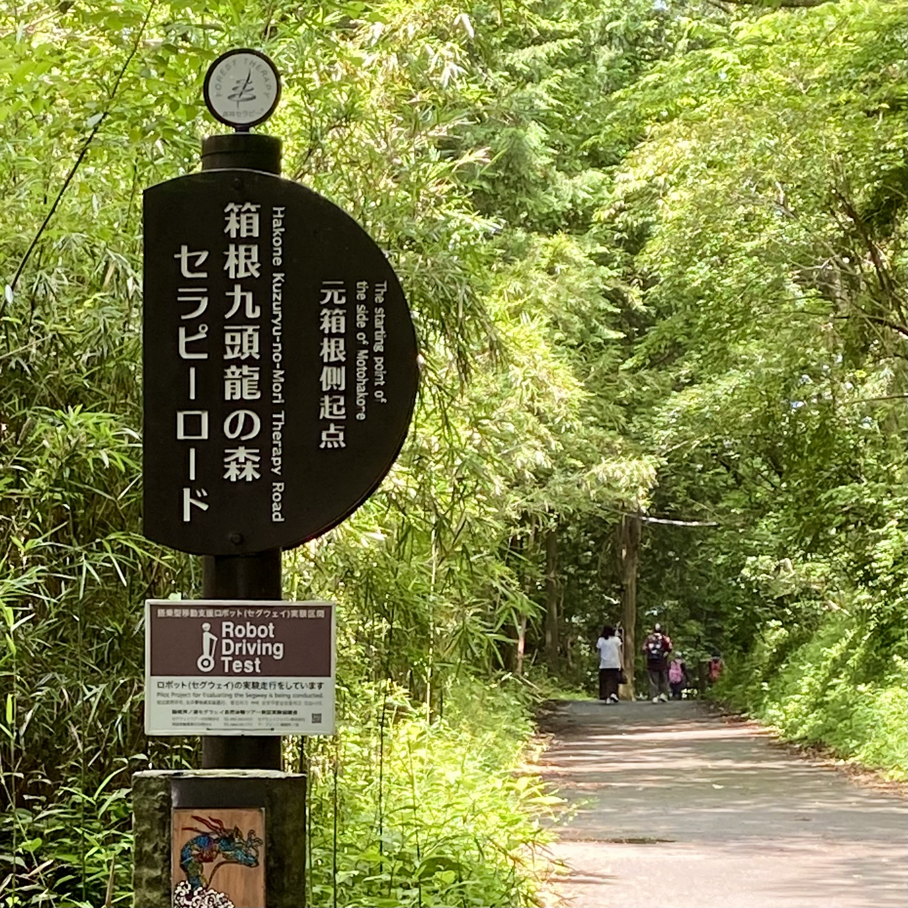 セラピーロード