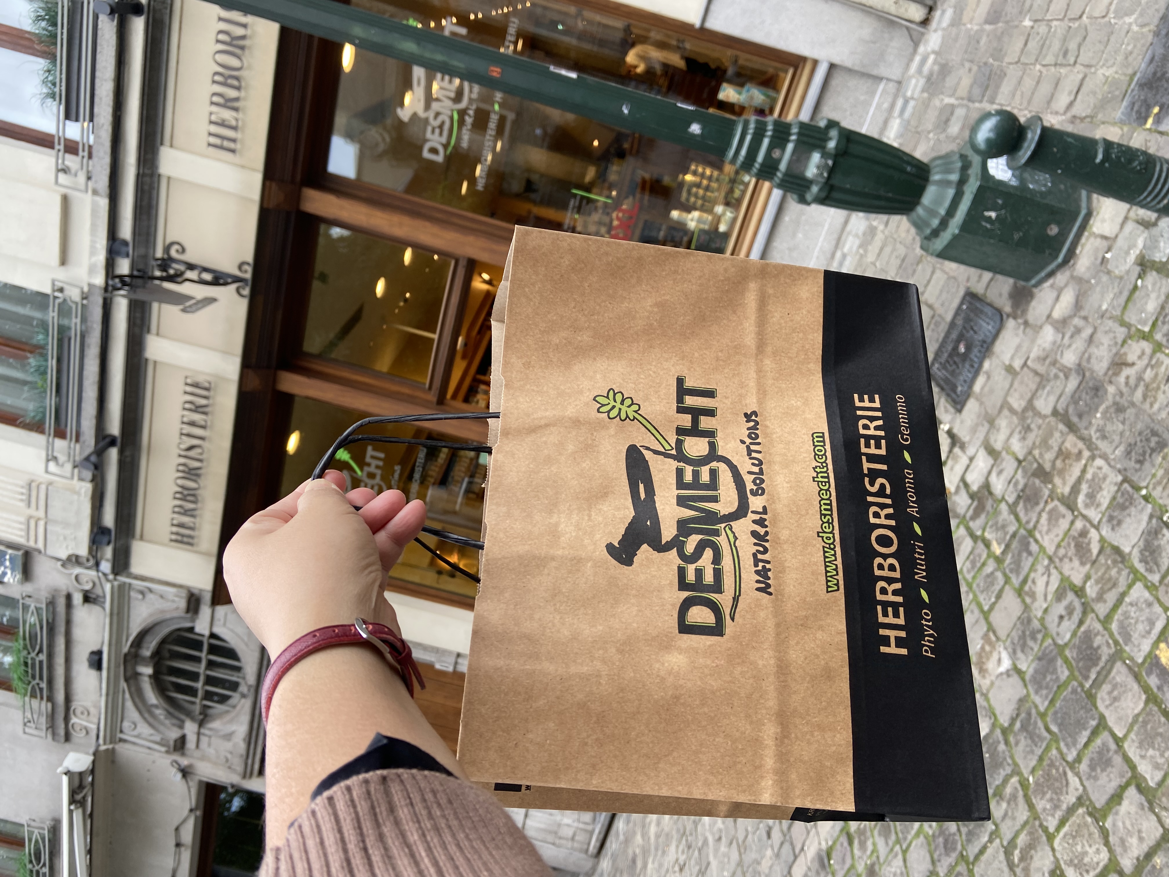 海外レポート2025 ブリュッセル編