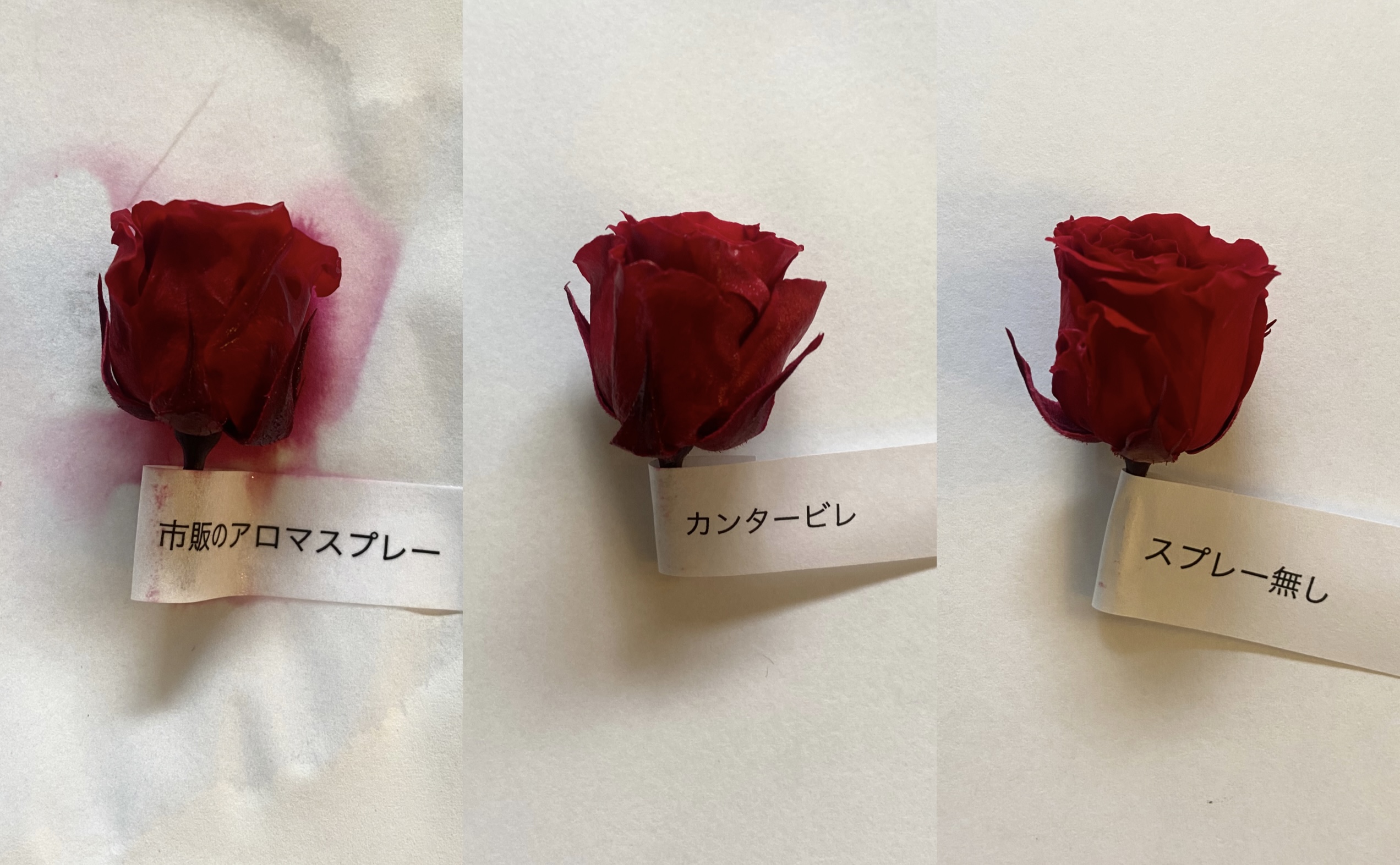 カンタービレ　スプレー実験