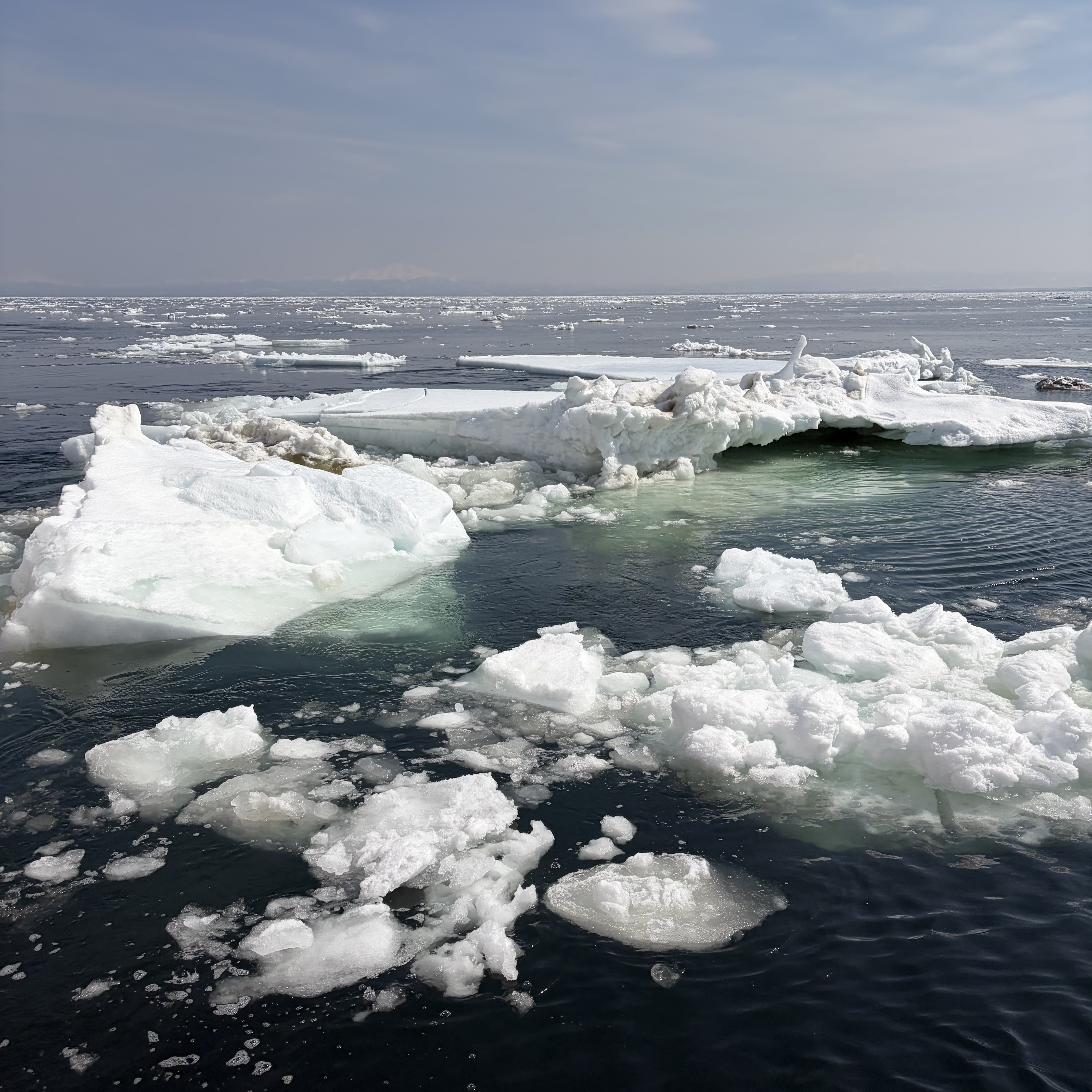 オホーツク海の流氷