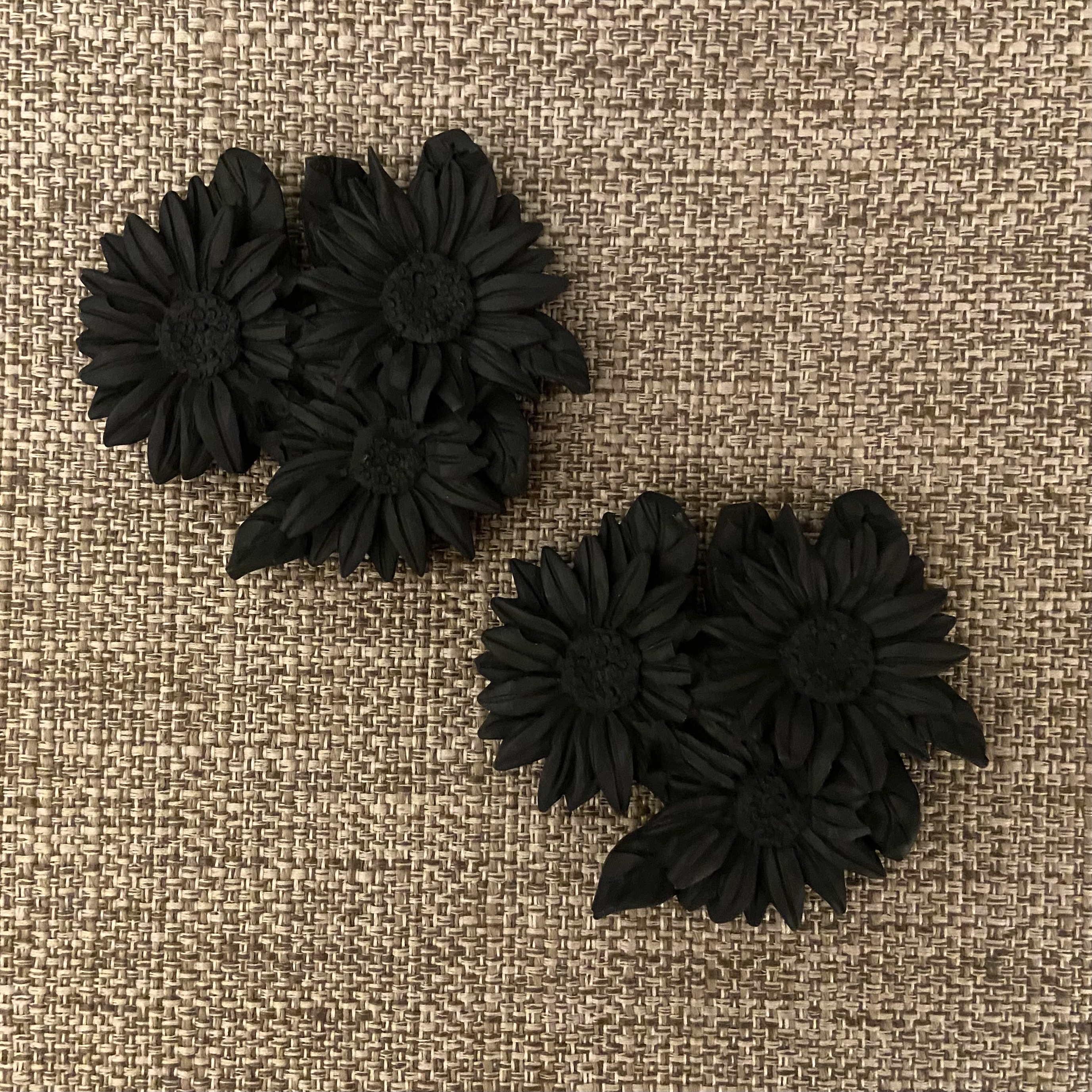 紫外線の照射実験