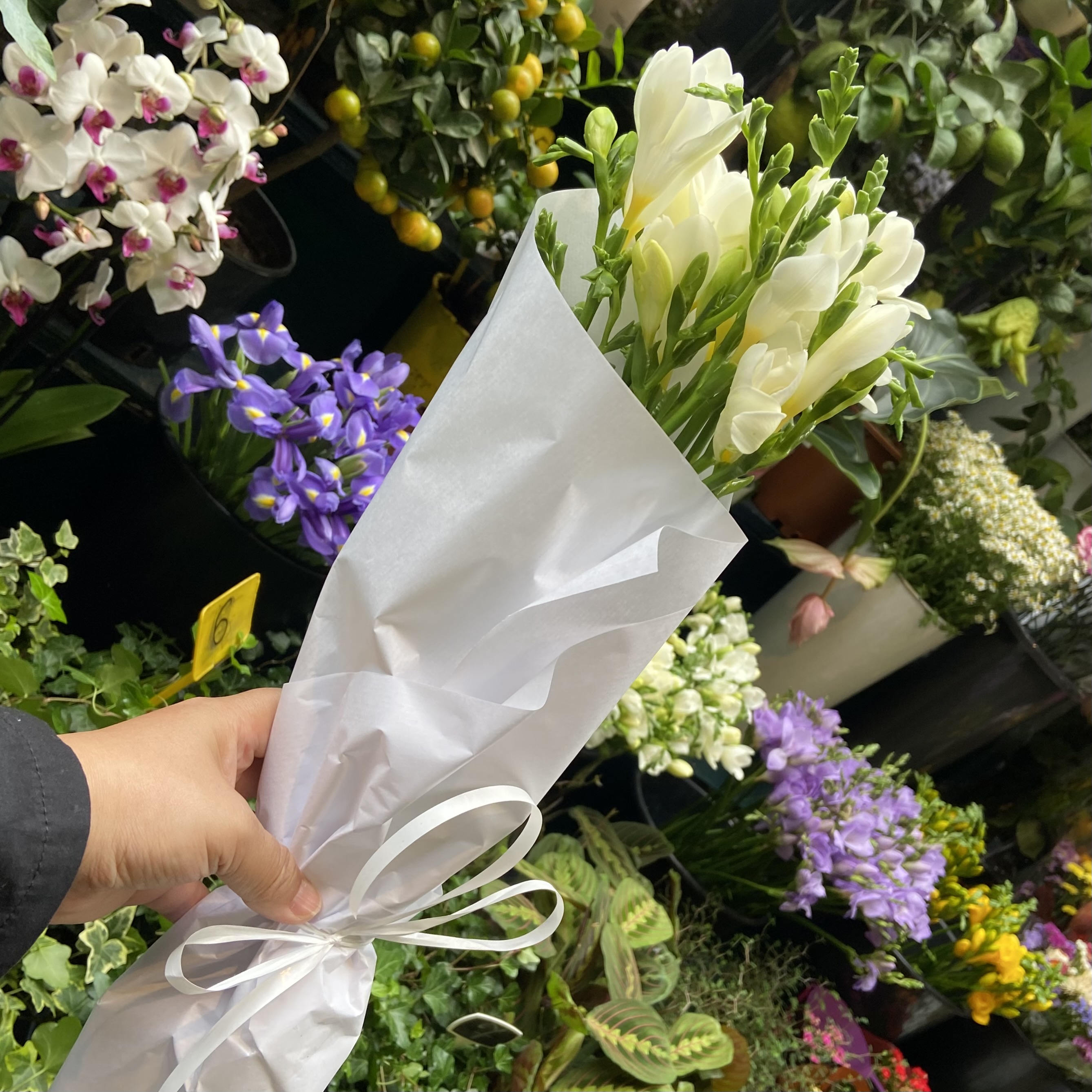 海外レポート2025 パリ編④