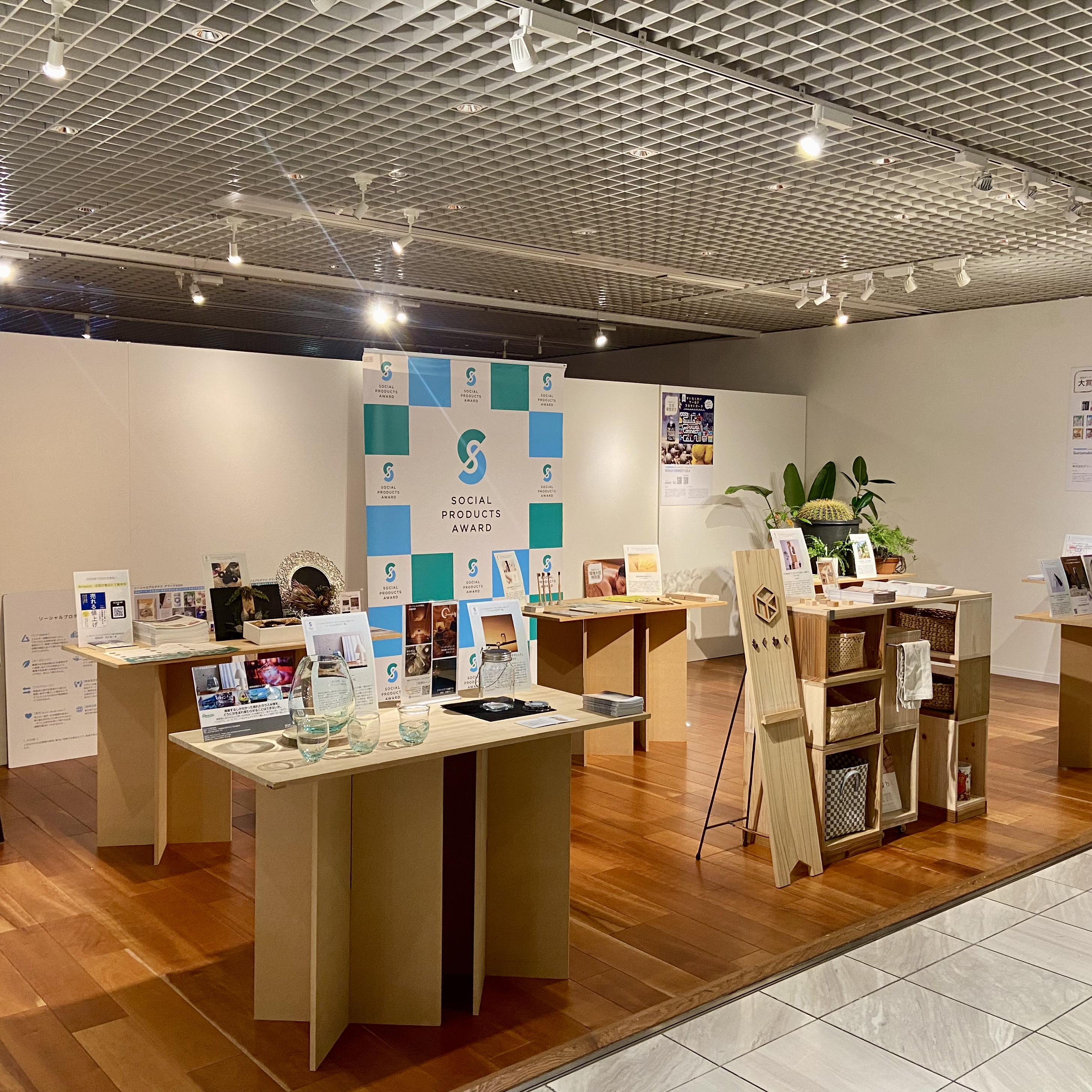企画展 始まりました