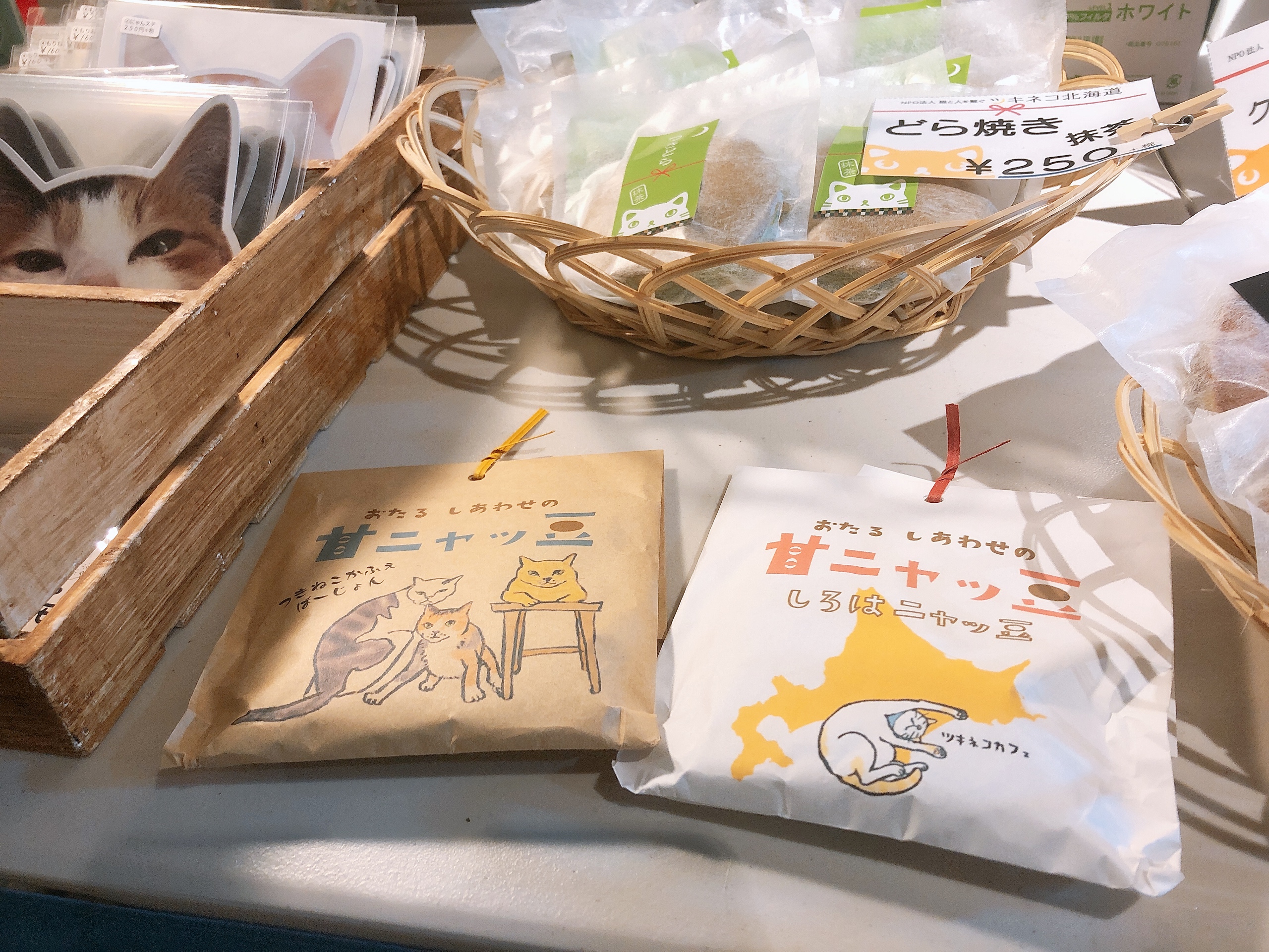 猫ジャーナルに掲載いただきました‼️