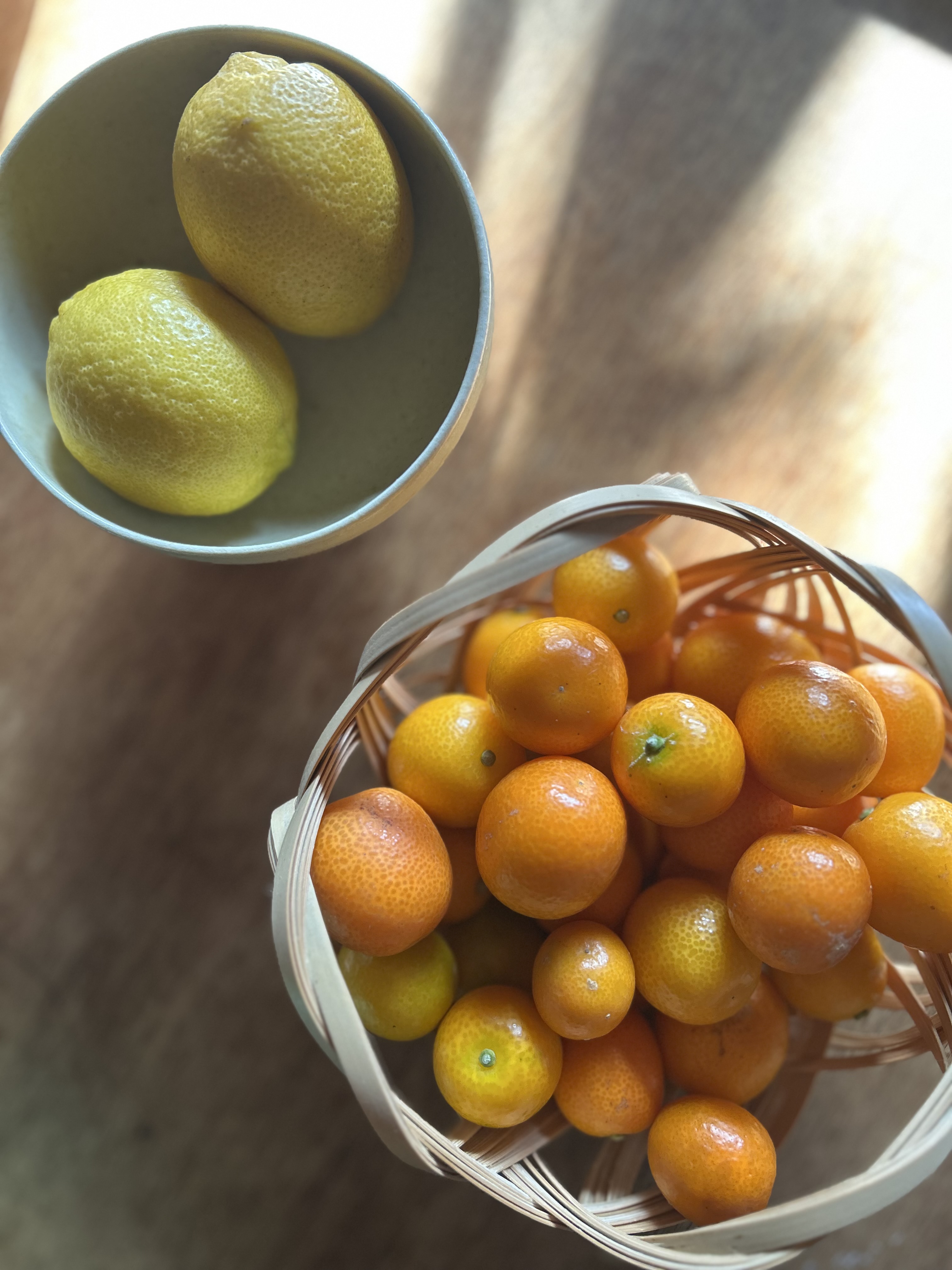 立春から早春までの予定