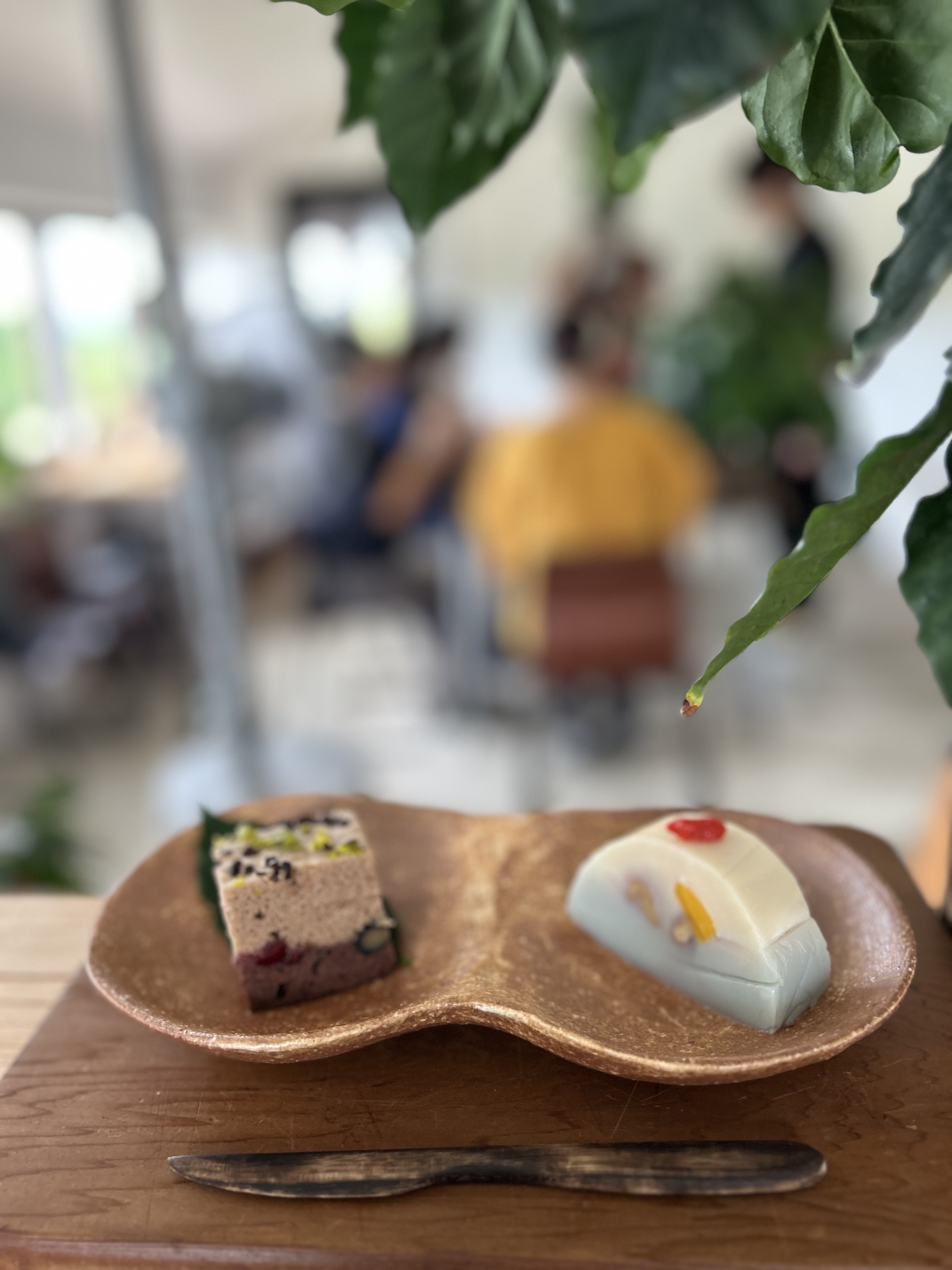 初夏の予定　(7月〜8月上旬)