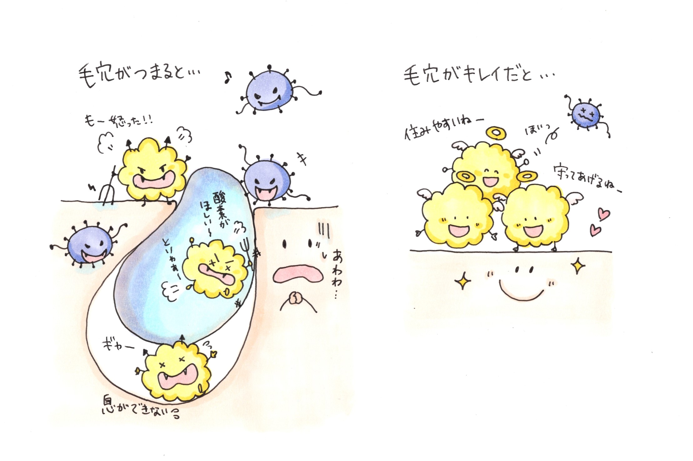 【美肌へのキーマンは〇〇part②】