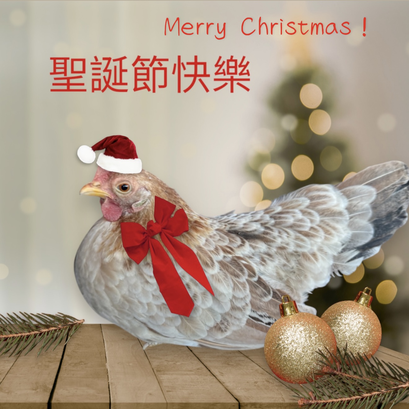 聖誕節快樂！