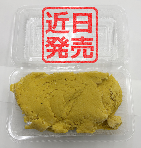 エサ取り対策の練りエサ、近日販売します。