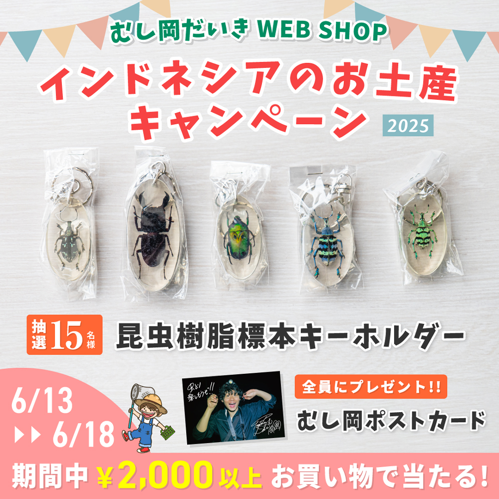 インドネシアのお土産キャンペーン開催中！（6/13〜6/18）