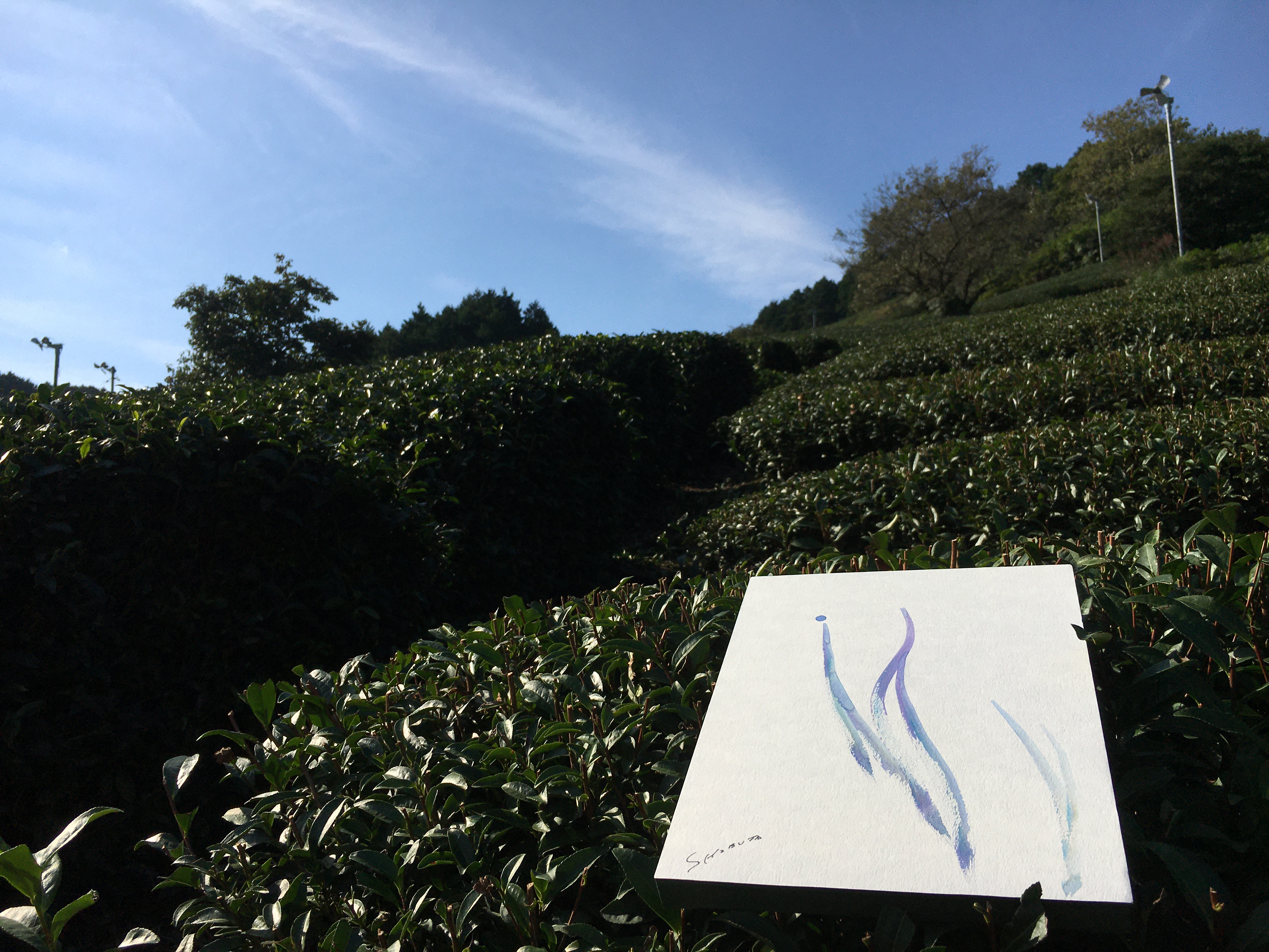 Kaoru Shibuta × FUKUOKAKYUEN「お茶と絵画」オンライン展示 開催のお知らせ
