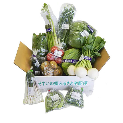 季節の野菜セットにはカブも入っています