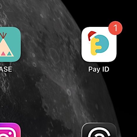 サンタコスプレPayID