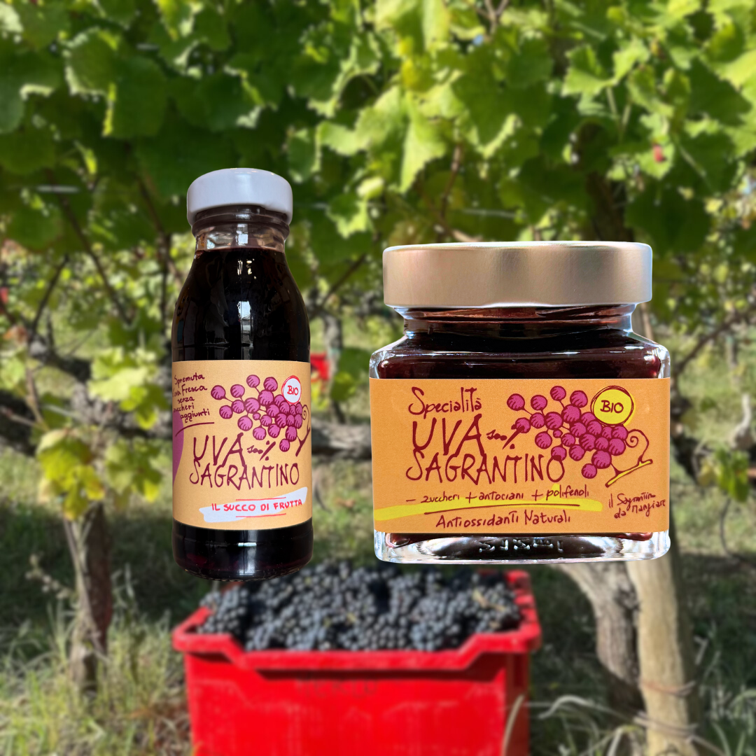 日本初のサグランティーノ総合代理店となりました。