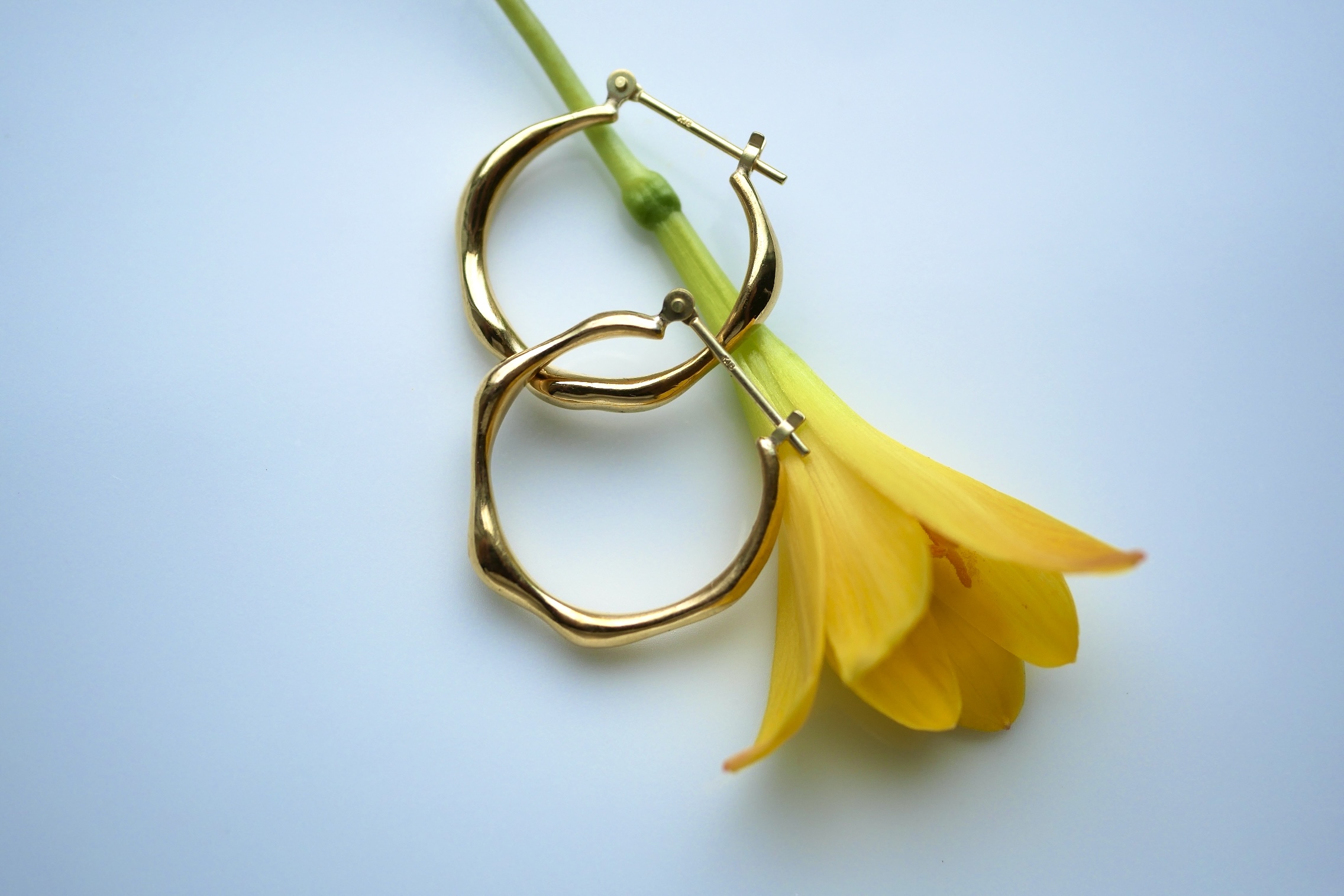 制作事例 / ピアス
