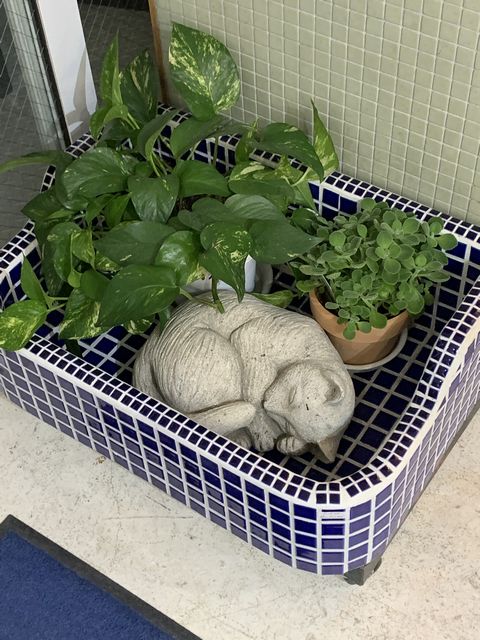 猫はタイルシンクでお昼寝中。