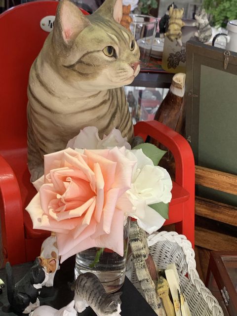 薔薇の季節。　