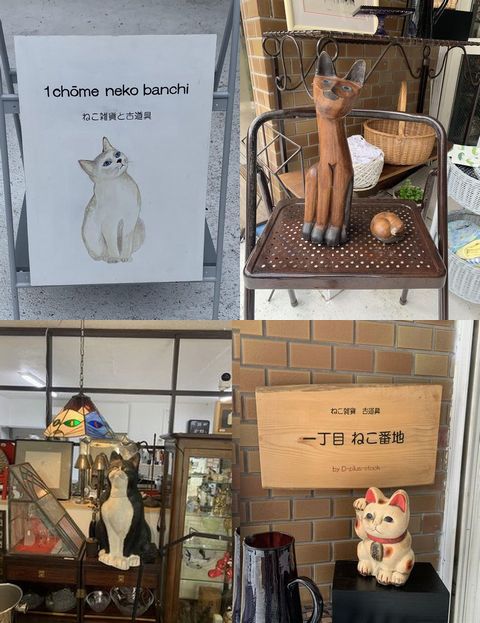 10月10日　一丁目ねこ番地　今日は元気に営業中！