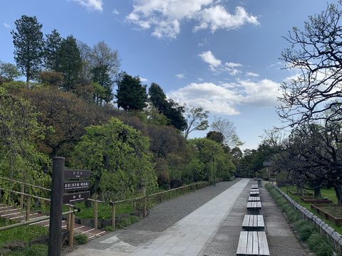 4月9日の池上梅園。
