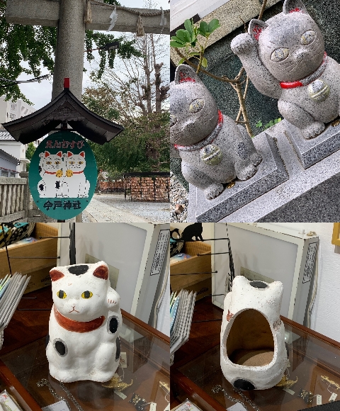 D-plus-stock の猫たち①　今戸焼火入れ招き猫。