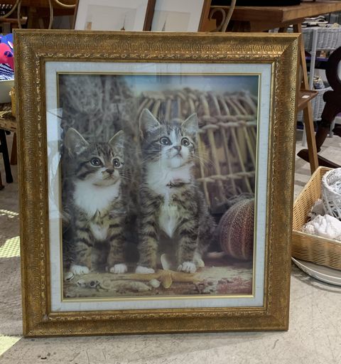 子猫の住む額　イタリア製アートポスター