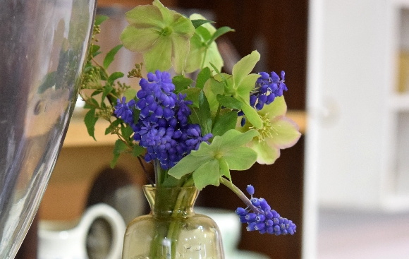 ムスカリの花。