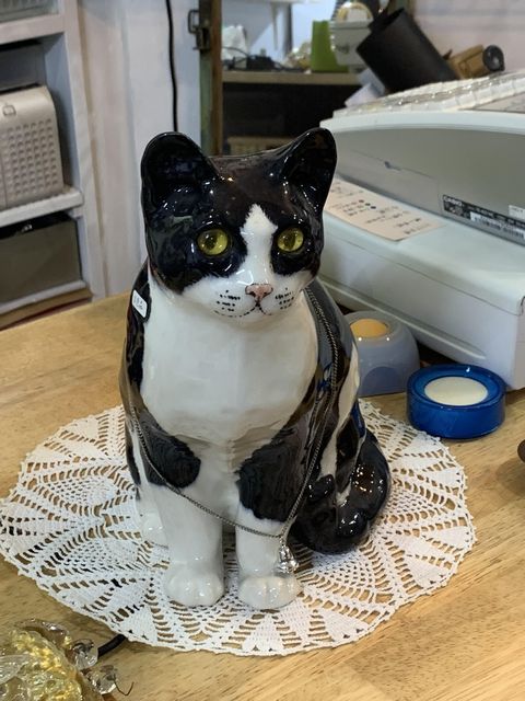 一丁目ねこ番地の猫たち　その①　ウィンスタンレイキャット