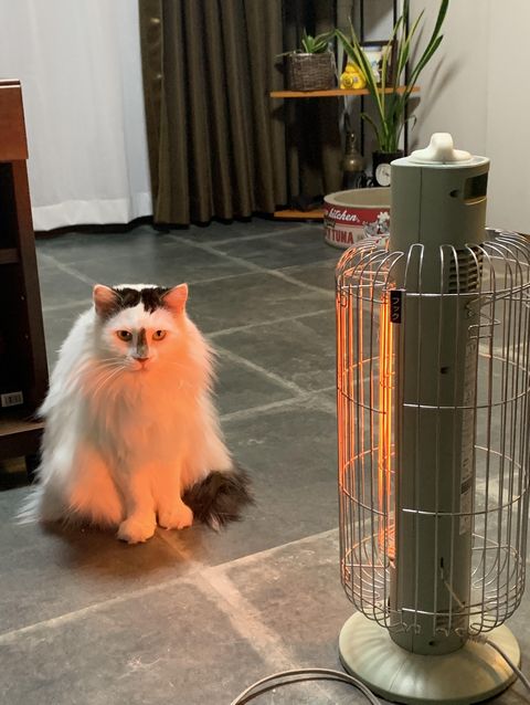 特等席。