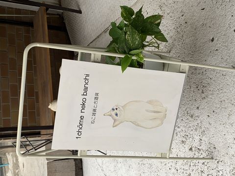 25'2月23日　三連休の中日　元気に営業しています