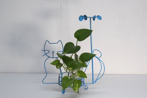 ワイヤーワークの猫のポットホルダーが入荷しました。