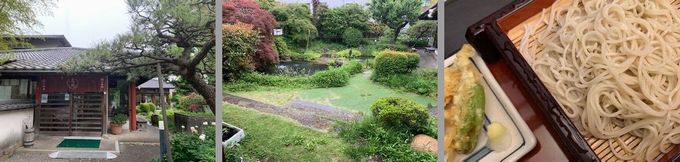 柿の木坂 更科　小岩店。