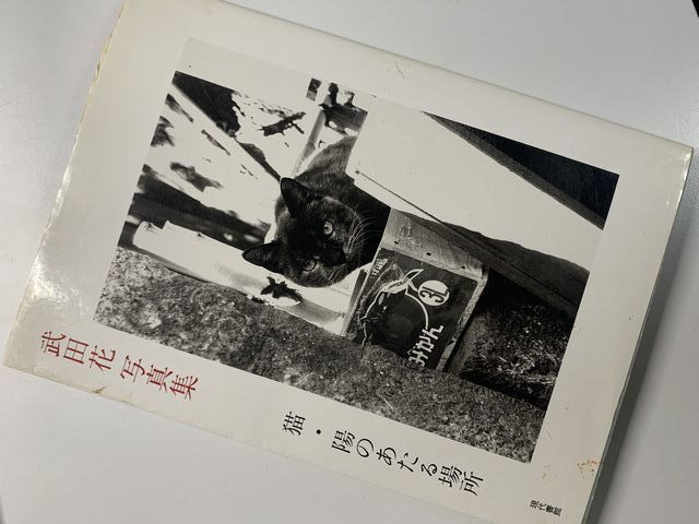 私の本棚から。　武田花写真集「猫・陽のあたる場所」