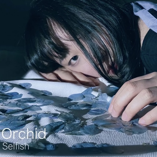 orchid portfolio