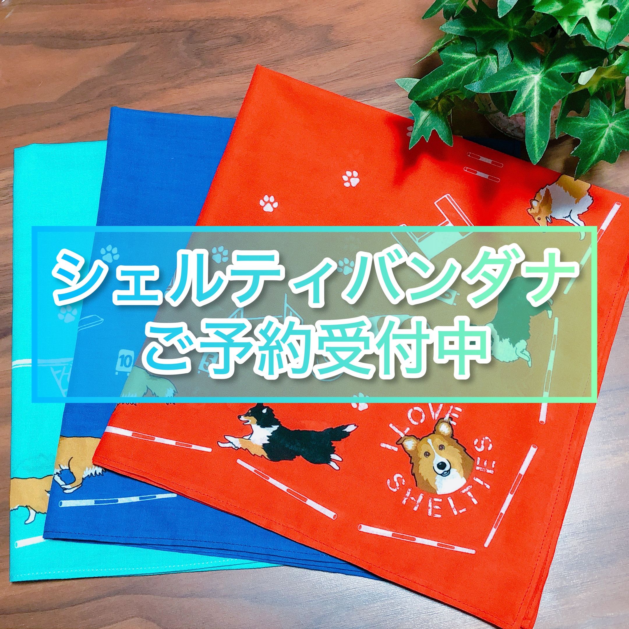 ★シェルティバンダナご予約受付中★